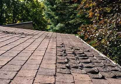 Roof Warranties Image